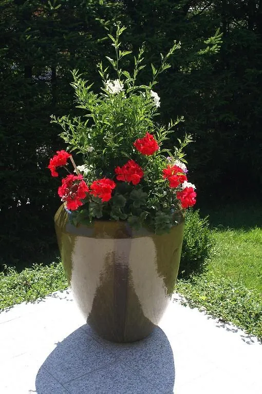 ** Bed & Breakfast Pension Bergfried Groedig Austria